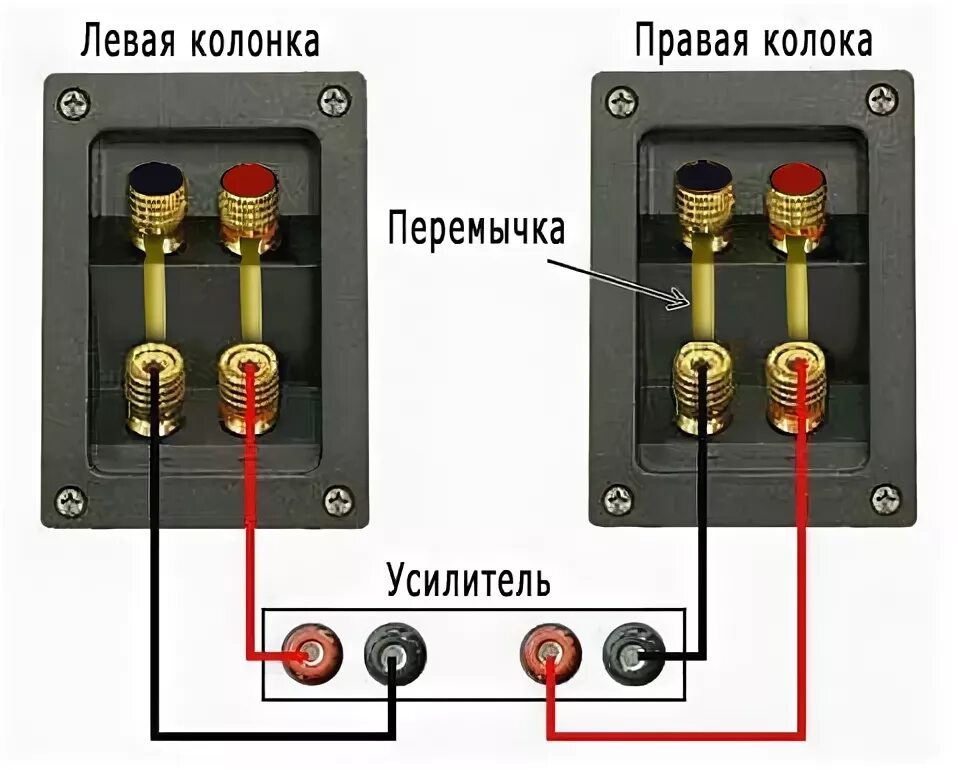 Подключить колонку как это сделать Выбор усилителя, кабеля, и подключение колонок