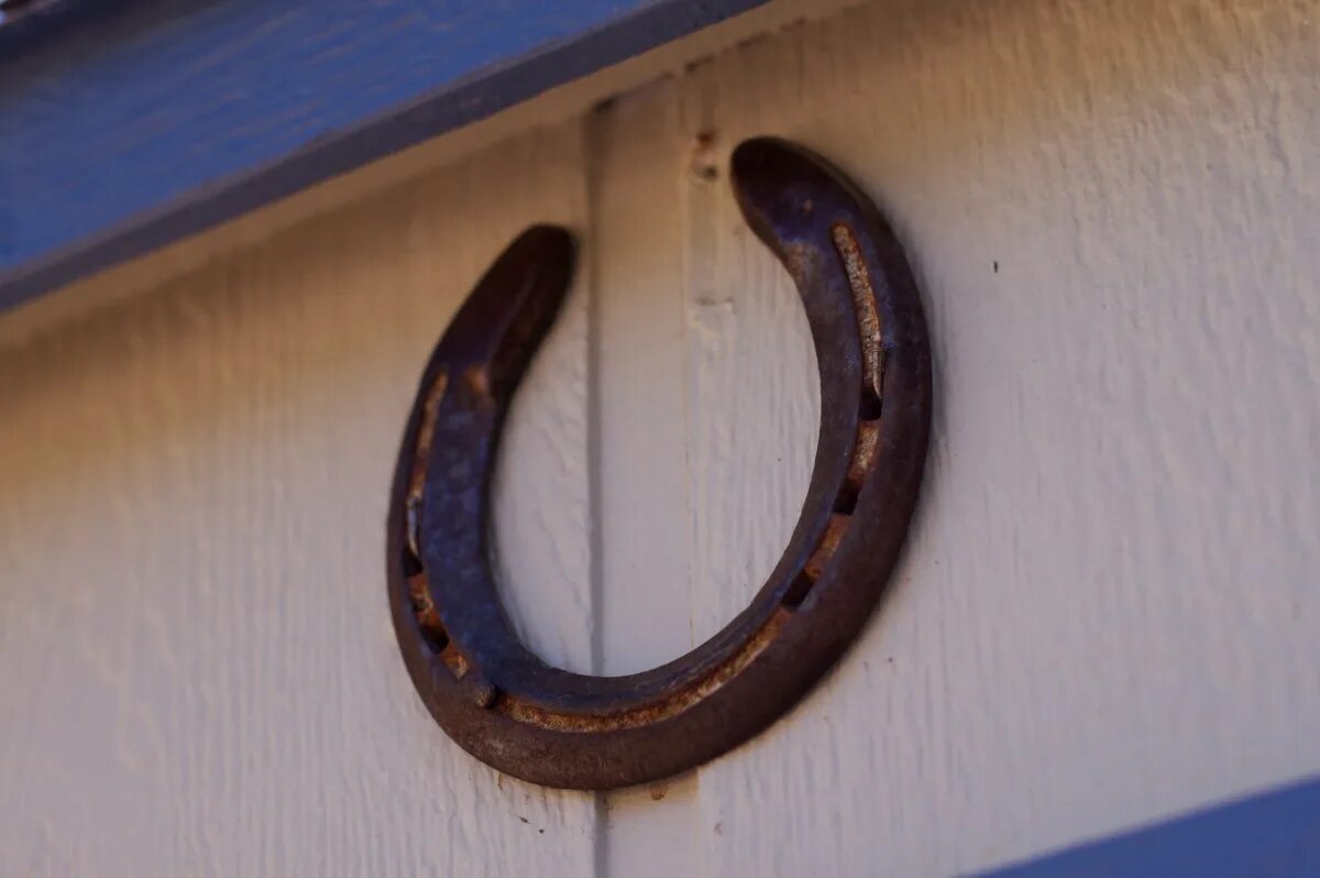 Подкова на двери фото Free Images : wood, number, circle, sports equipment, horseshoe, horseshoes 2376