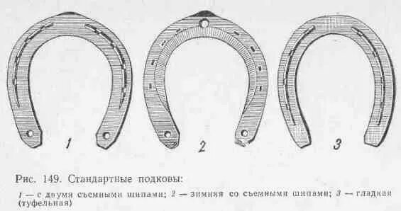 Подковы для лошадей старинные фото и описание Подковы для лошадей: назначение, виды, процесс ковки и замены