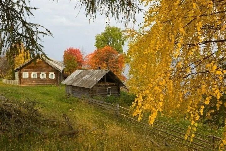 Подмосковье октябрь деревня природа фото В Архангельской области во вторник сохраняется плюсовая температура - МК Арханге