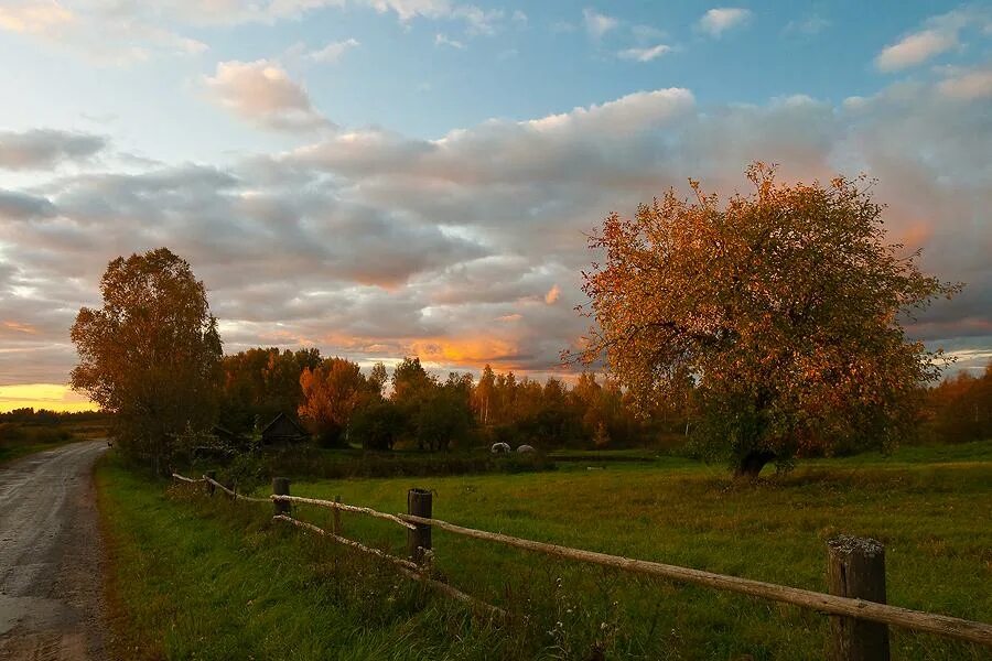 Подмосковье октябрь деревня природа фото вечер / осенним вечером / Автор: Кайченкова Лариса