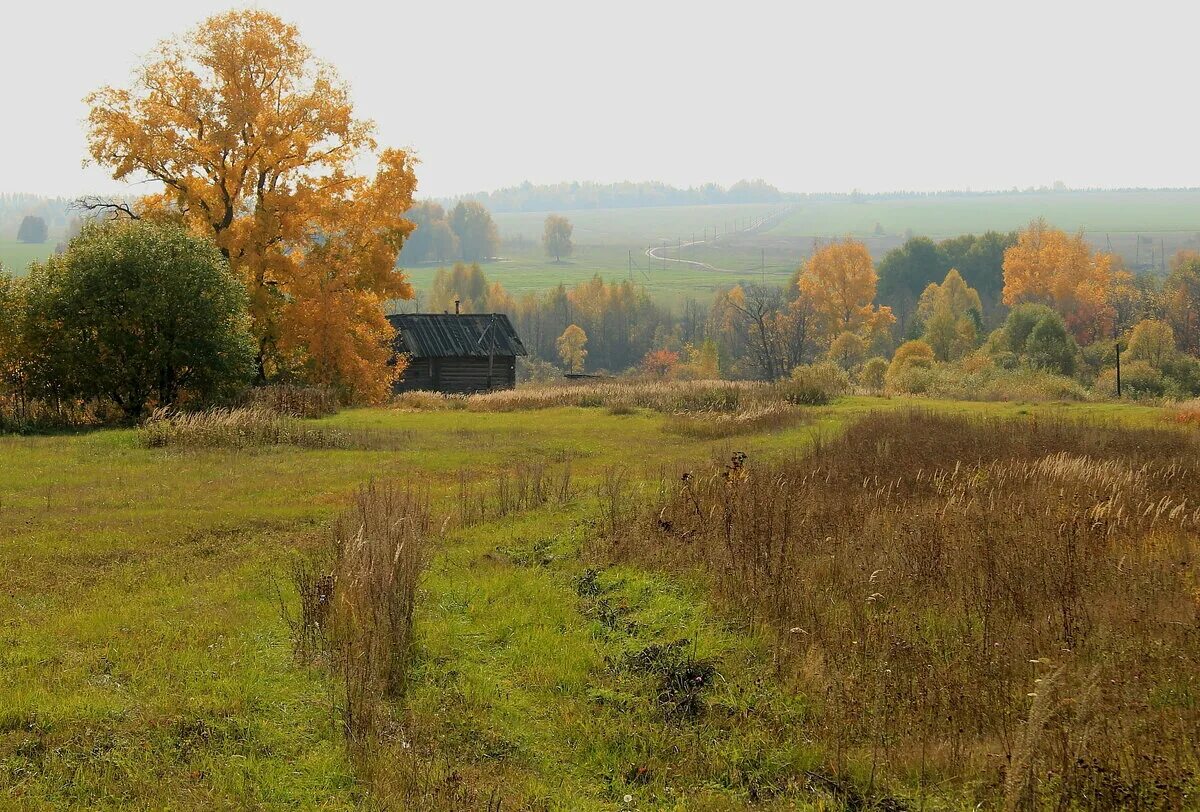 Подмосковье октябрь деревня природа фото Нельзя позволять Деревенская душечка Дзен