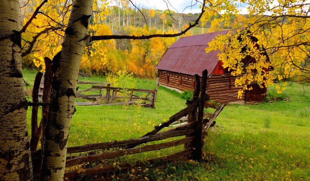 Подмосковье октябрь деревня природа фото Пазл "Домик, где живет осень" из 170 элементов Собрать онлайн пазл № 205610