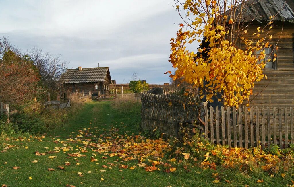 Осень в Окуловке - Иванова Наталья Васильевна - Фотографии Дикая Правда