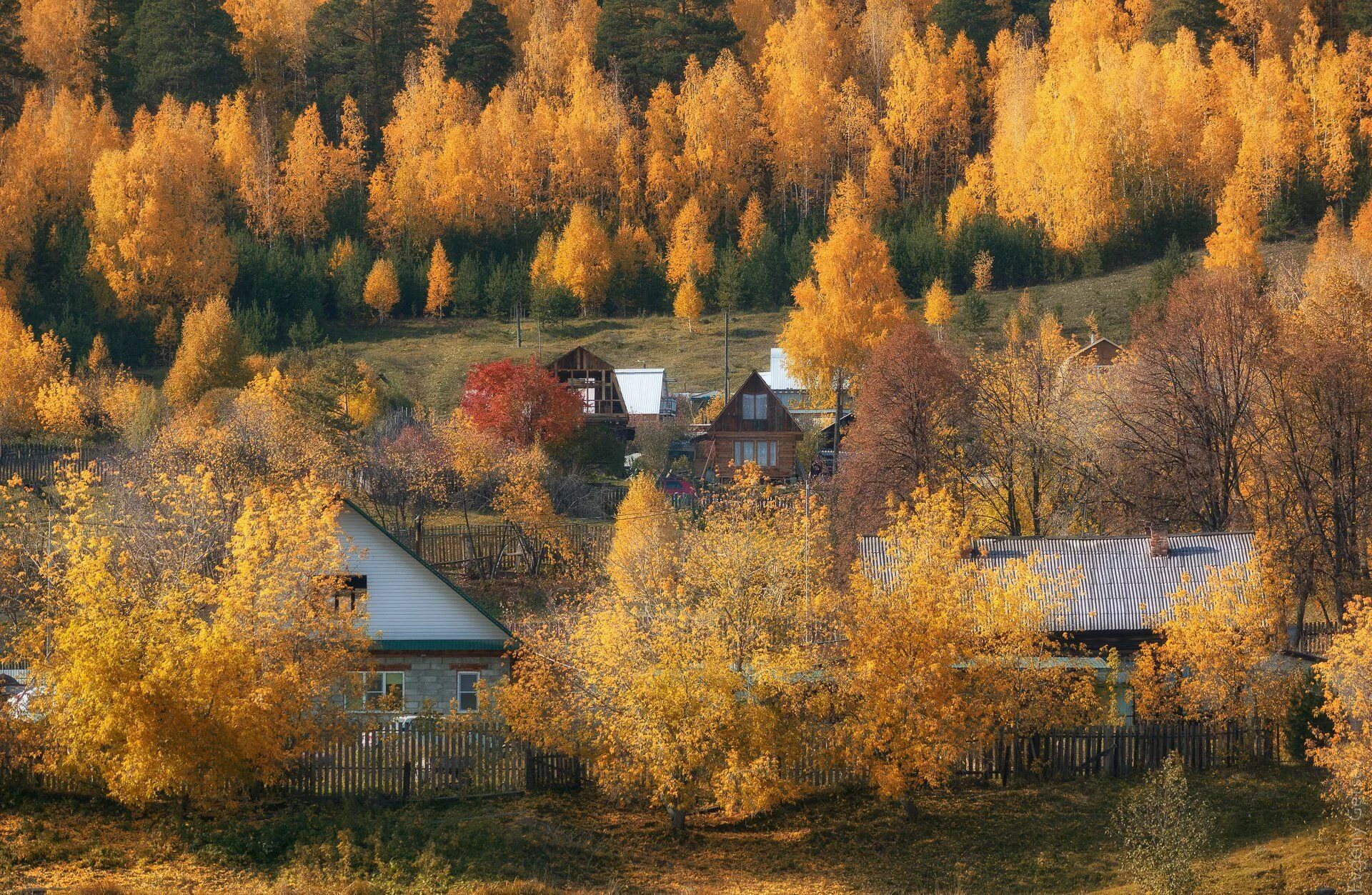 Подмосковье октябрь деревня природа фото Осень в деревне. Photographer Evgeny Getsev