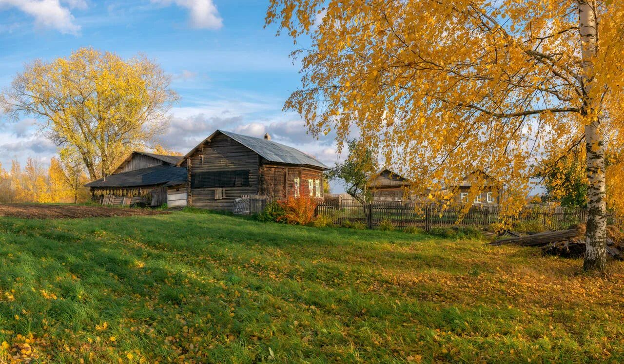 Подмосковье октябрь деревня природа фото Гуляла осень по деревне / фото