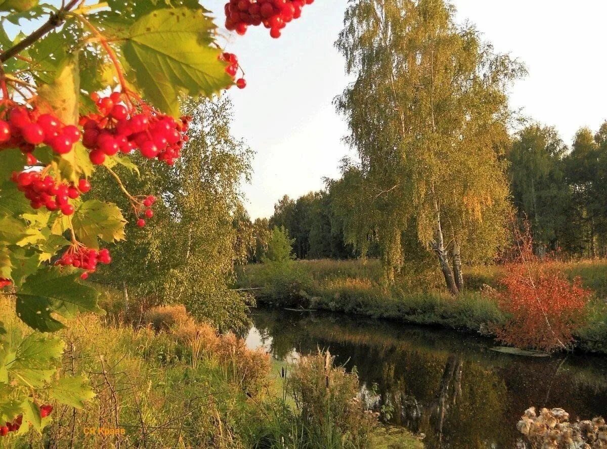 Подмосковье сентябрь природа фото Экскурсия в природу родного края. 2023, Мамадышский район - дата и место проведе