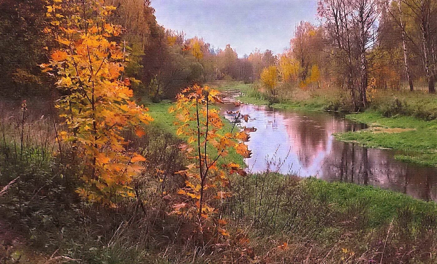 Подмосковье сентябрь природа фото Осенняя пора. / Река Клязьма в Московской области / Автор: Виктор Васин