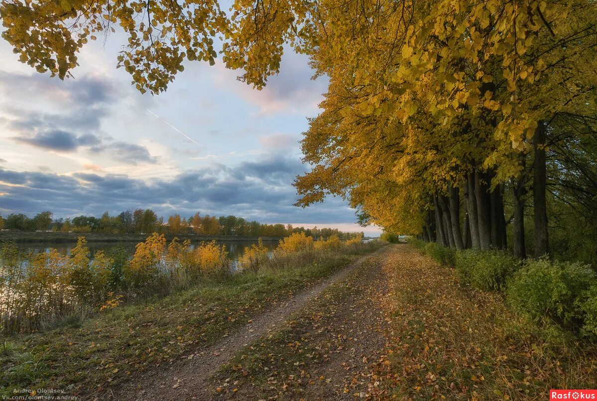 Подмосковная природа в сентябре фото Фото: Осень... Пейзажный фотограф Андрей Олонцев. Пейзаж - Фотосайт Расфокус.ру