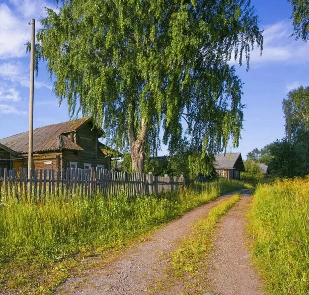 Подмосковные деревни фото Деревня милая моя (Лев Седой) / Стихи.ру