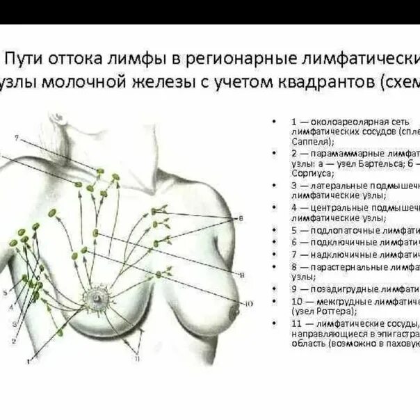 Лимфаденопатия (увеличение лимфатических узлов) - симптомы и лечение