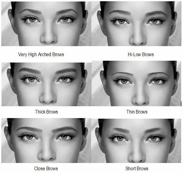 Подобрать брови онлайн по фото How Does Different Eyebrows Change The Same Face - AllDayChic Different eyebrow 