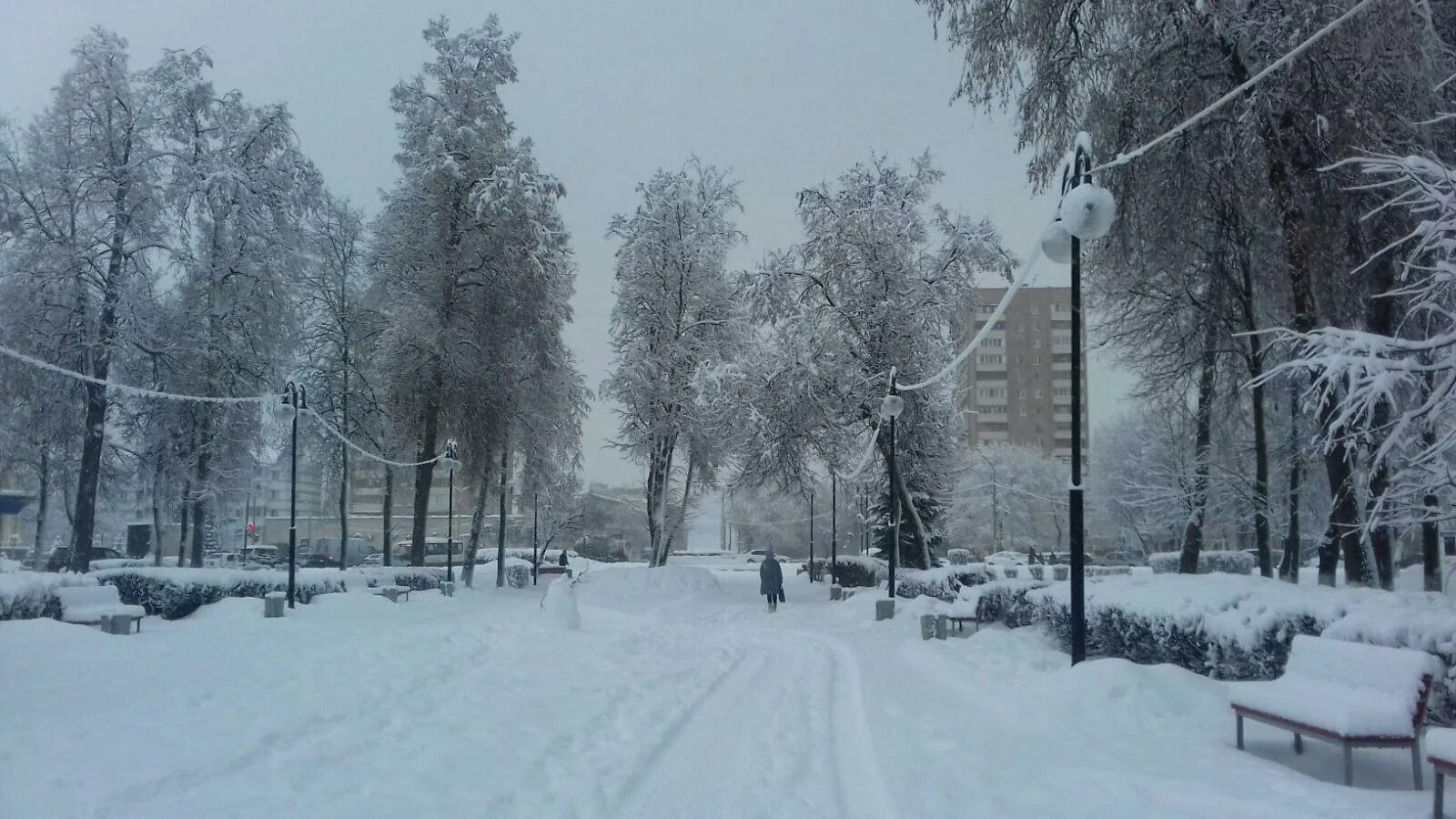 Подольск зимой фото Снегопад принес Подольску транспортные проблемы и красивые