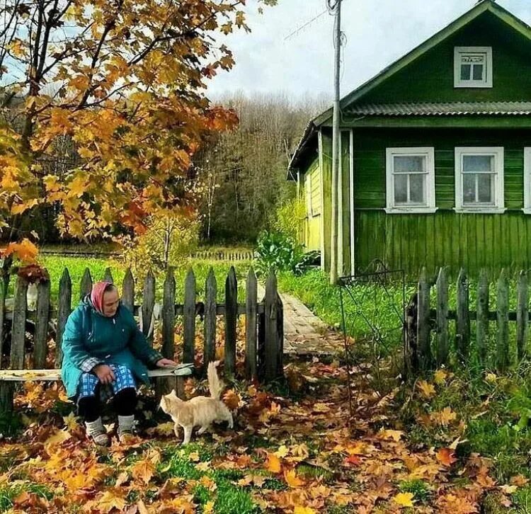 Подпись фото в деревне Russian village life Пейзажи, Сельские виды, Живописные пейзажи