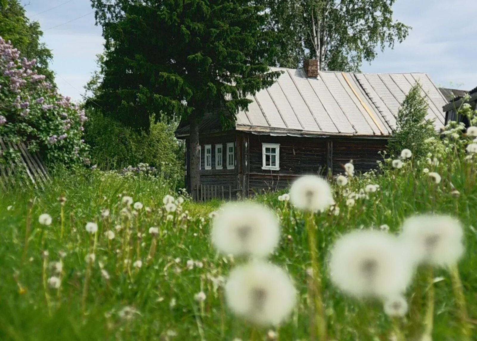 Подпись фото в деревне Лето ностальгия