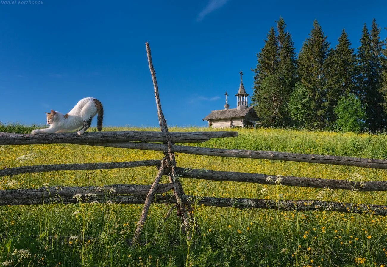 Подпись фото в деревне Кенозеро Россия, Пейзажи, Путешествия