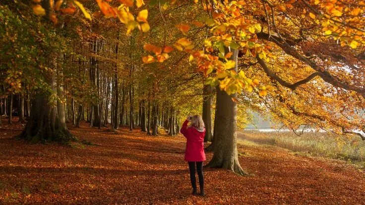 Подпись к фото про осень Lady in a red coat taking a photo of the autumn colour How to take photos, Place