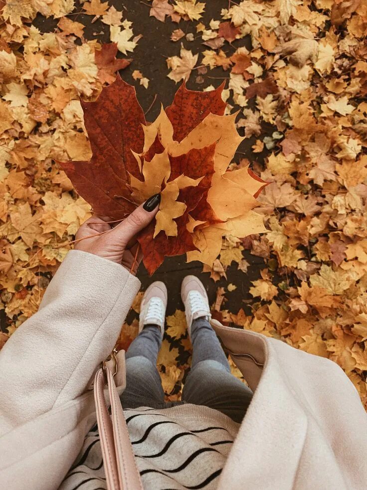 Подпись к фото про осень в инстаграм #autumn #autumnfashion #autumncrafts #autumnaesthetic #autumnphotography #осень 