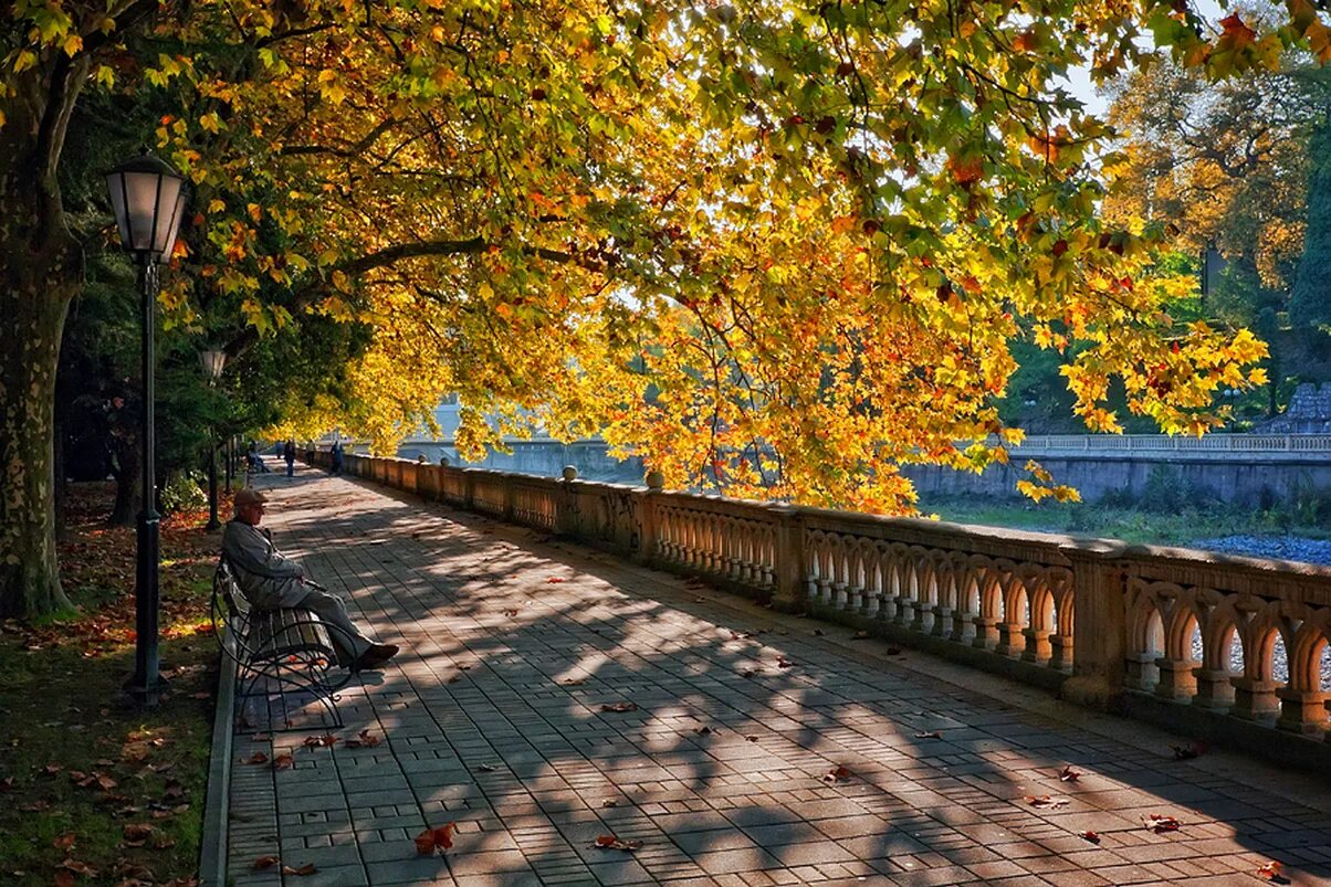 Подпись к фото сочи осень солнце Администрация города Сочи - Осень под пальмами. Сочи вошел в тройку городов Росс