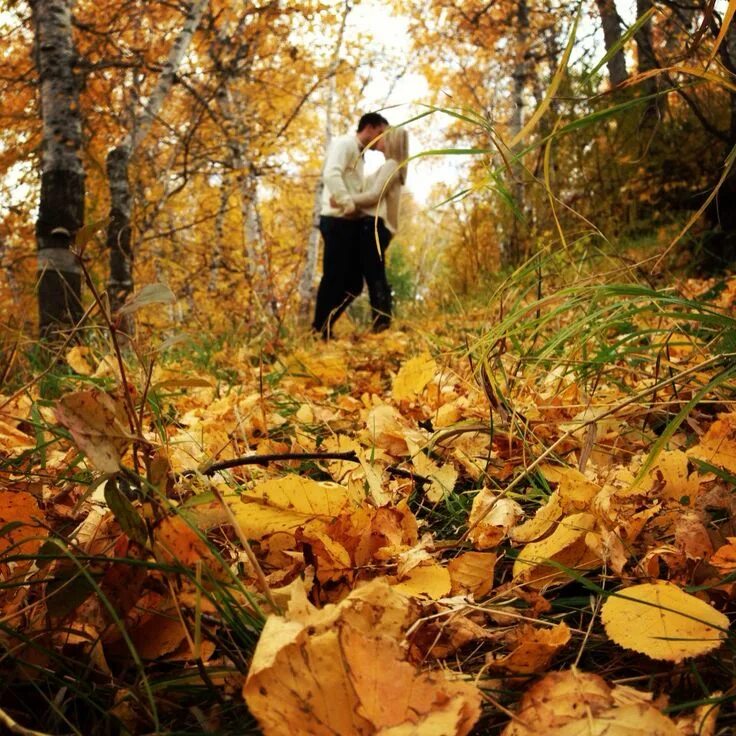 Подпись к фото в осеннем лесу Fall couple photo Пару осенних фотографии, Осенние семейные портреты, Осенние фо