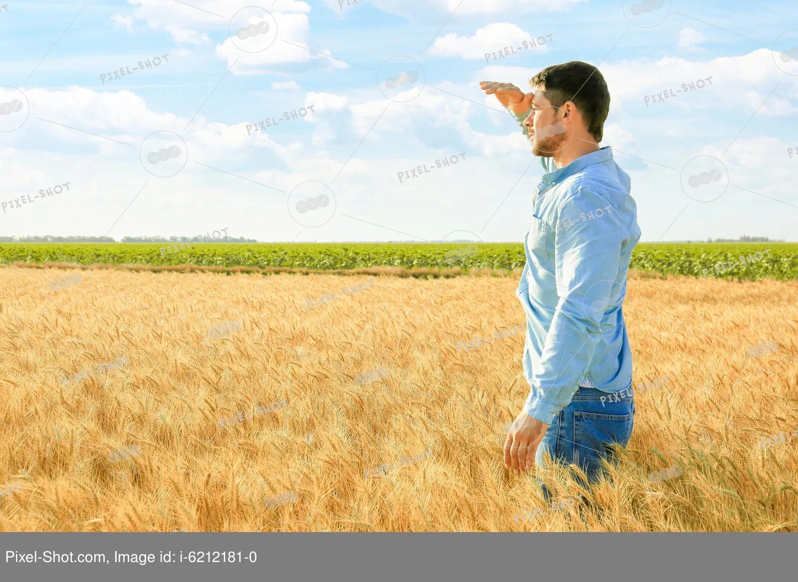 Подпись к фото в поле Male farmer working in wheat field :: Stock Photography Agency :: Pixel-Shot Stu