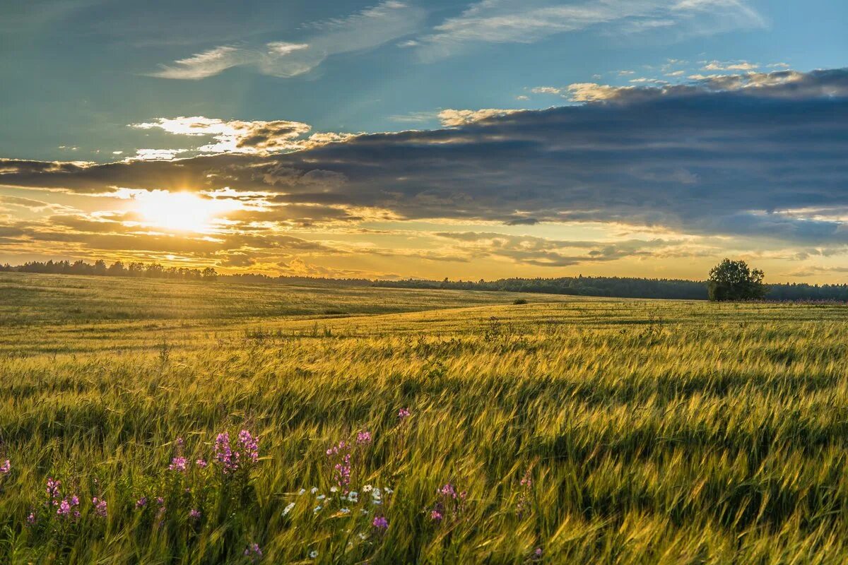 Подпись к фото в поле Я люблю тебя, Россия! (Наталья Хабибова) / Проза.ру