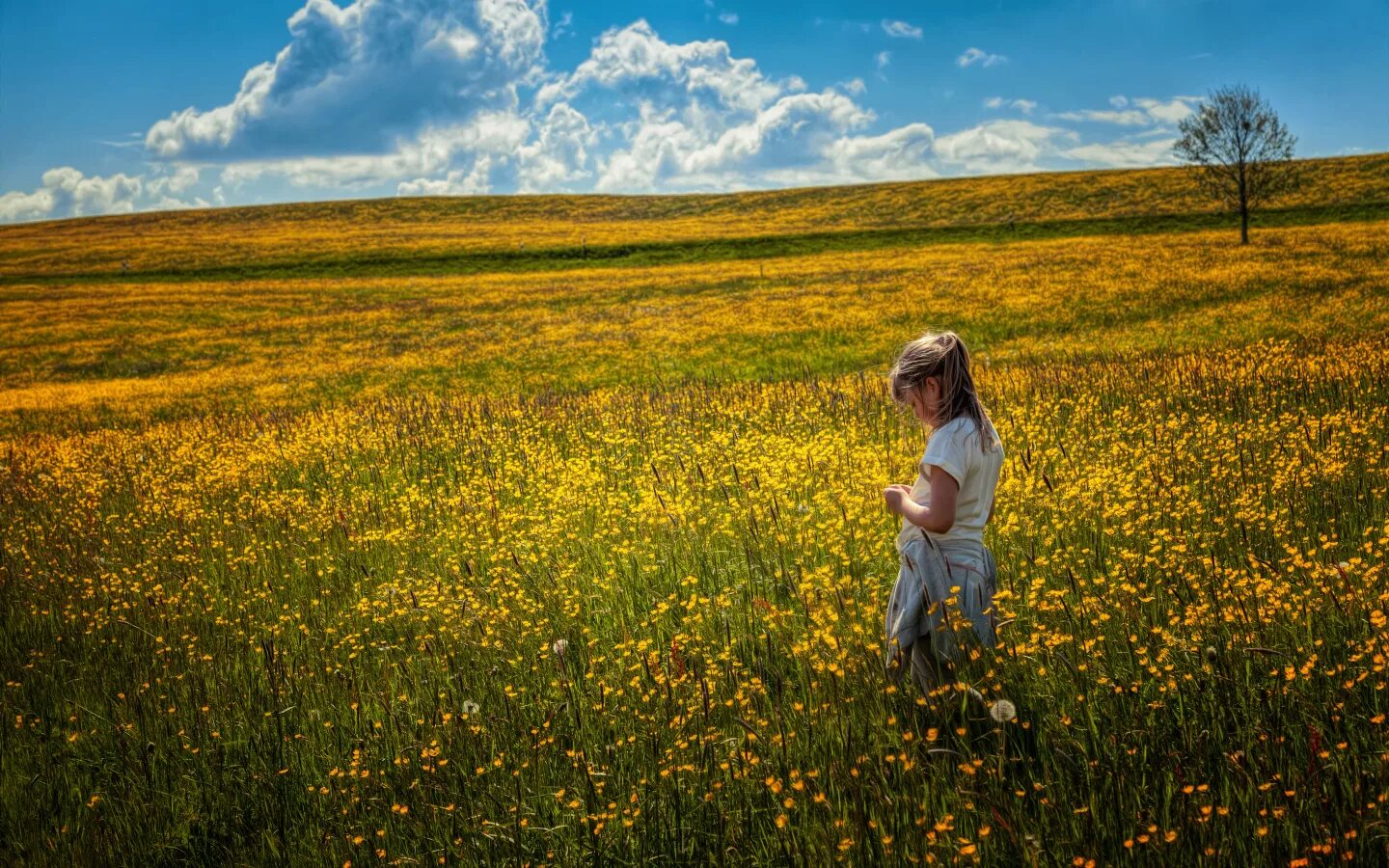 Подпись к фото в поле Little girl walking through the field with yellow flowers Desktop wallpapers 144