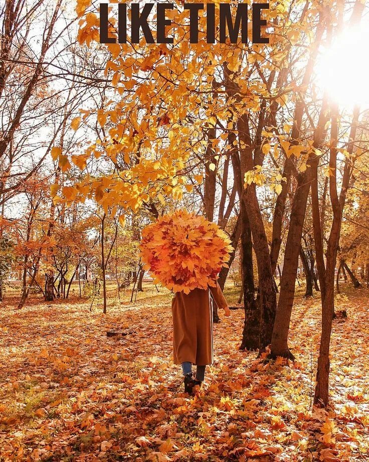 Подпись под фото осень autumn ideas instagram inspiration осенние идеи фото инстаграм зонт из листьев u