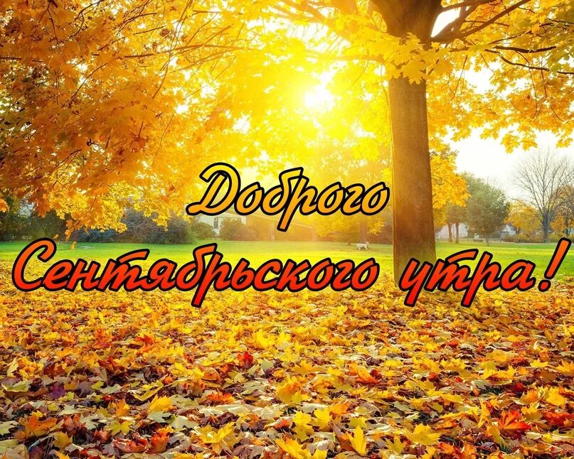 Подписать фото про сентябрь Доброе утро! 2023 Кроссовки Магнитогорск ВКонтакте