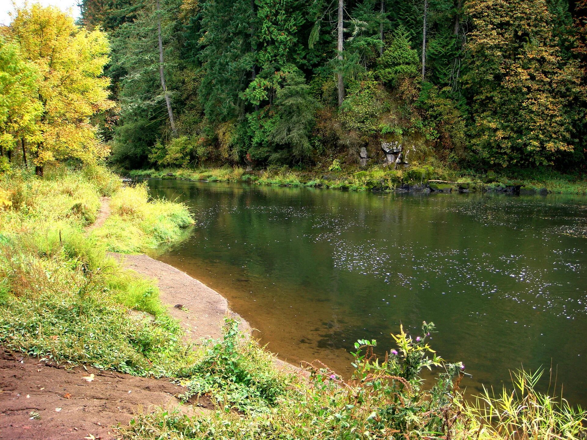 Подписать фото реки Картинки Tualatin River США Природа речка 1920x1440