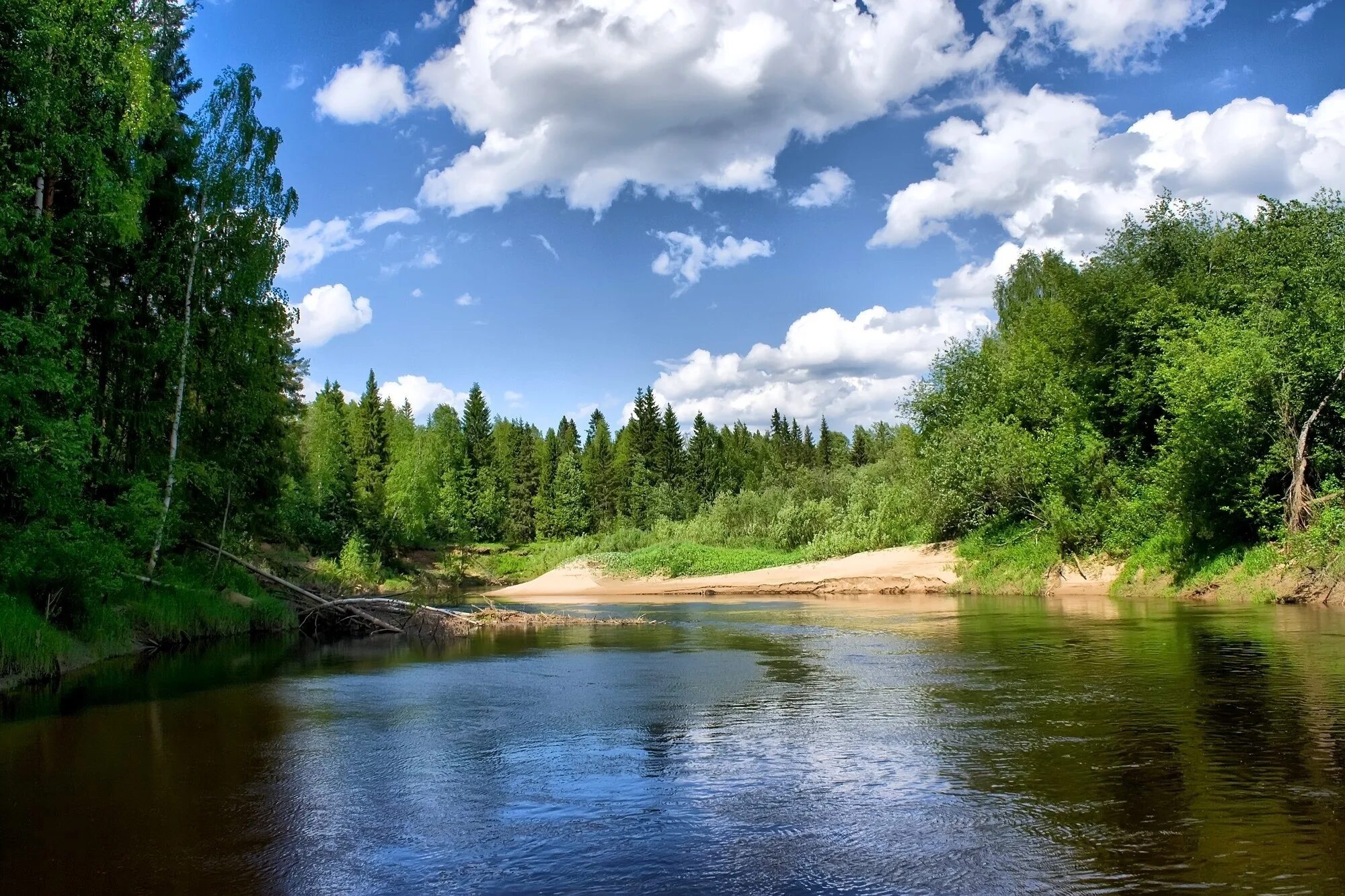 Подписать фото реки Обои река, облака, деревья на рабочий стол