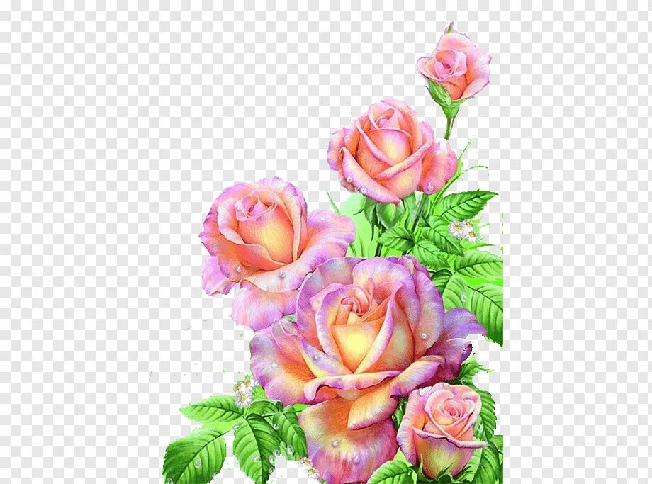 Подписать фото с днем рождения дочери Painting Flower Floral design Art, Pink rose, watercolor Painting, flower Arrang