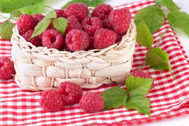 Подписать фото с малиной Fresh Raspberry with Green Leaves Stock Photo - Image of juicy, fruit: 28976818