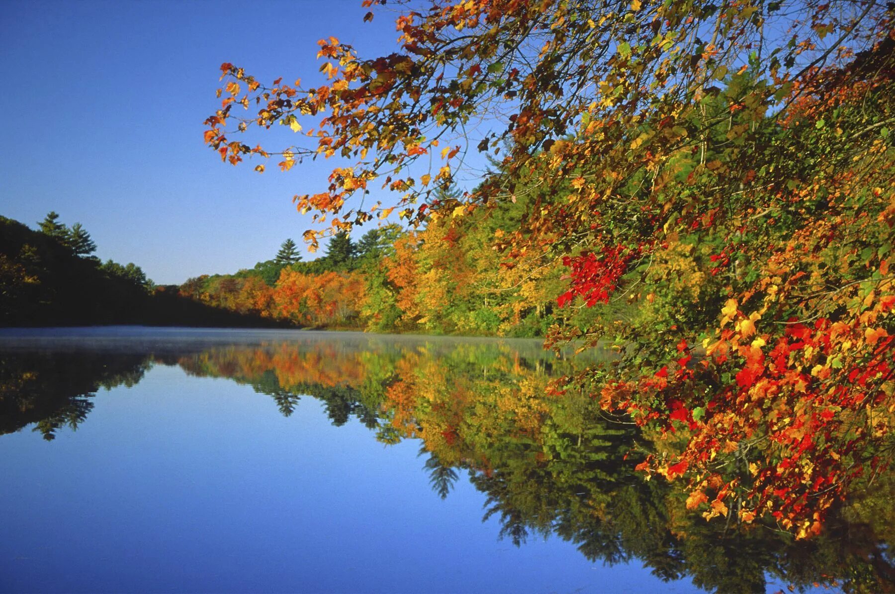 Подписать фото сентябрь Reminds me of the lake by school Fall pictures, Fall foliage, New england fall