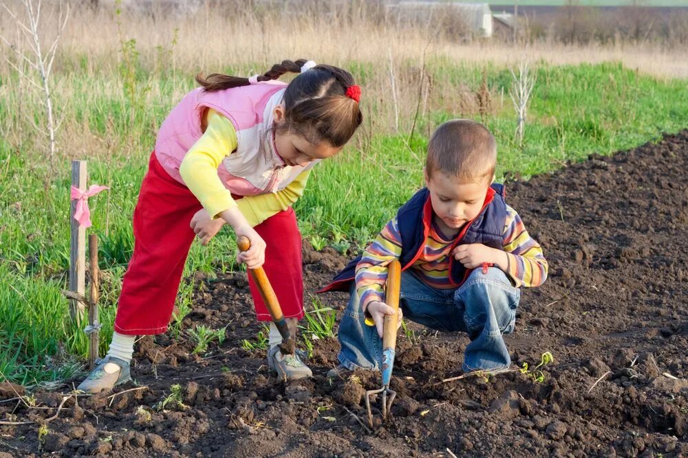 Подписать под фото труд детей на участке Gardening for Kids - What Schools Are Finally Doing Right Gardening for kids, Pl