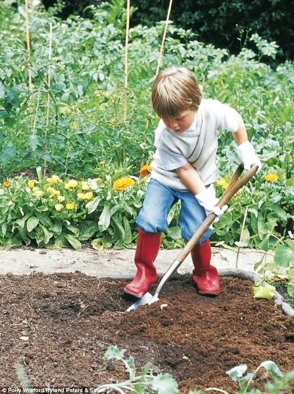 Подписать под фото труд детей на участке Small Kids Garden Ideas to Foster kid's Interest in Gardening Gardening for kids