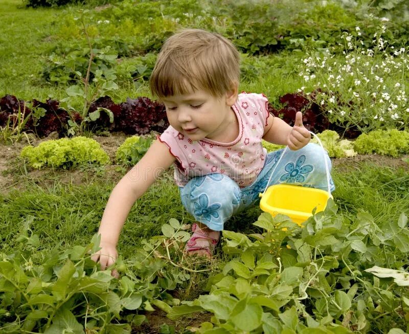 Подписать под фото труд детей на участке Child in kitchen garden stock image. Image of macro, arrangement - 6039041