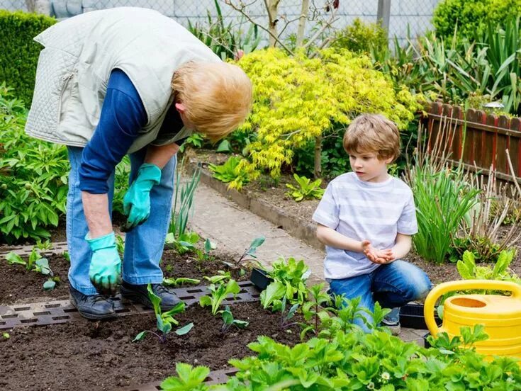 Подписать под фото труд детей на участке Vegetable Garden Layout Plans And Spacing That Is Suited #gardendesign #Vegetabl