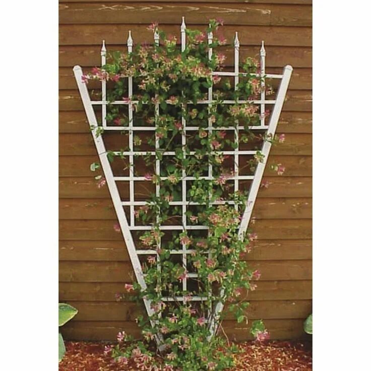 Подпорка для клематиса своими руками фото Dura-Trel 58-in W x 94-in H White Traditional Garden Trellis Lowes.com Garden tr