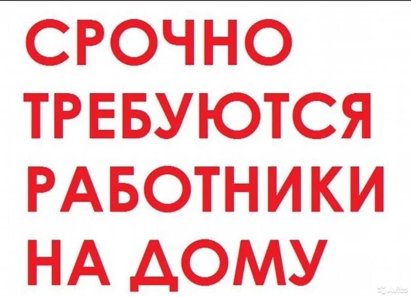 Подработка без оформления на дому Авито спб работа вакансии для женщин