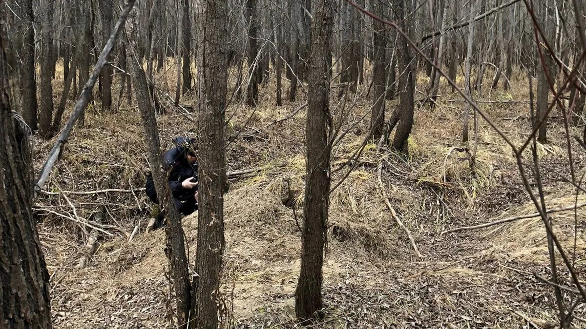 Подробности про медведя убившего 35 собак фото Звери: последние новости на сегодня, самые свежие сведения 72.ру - новости Тюмен