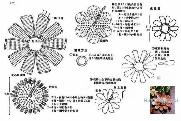 Подробные схемы вязания крючком цветы Pin by Gogohendia Hendia on crochet flower Crochet flowers, Crochet, Crochet pat