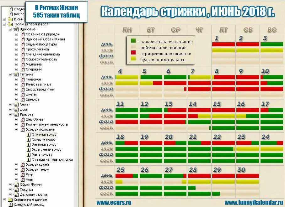 Подробный календарь стрижек Стрижка и покраска волос в июне