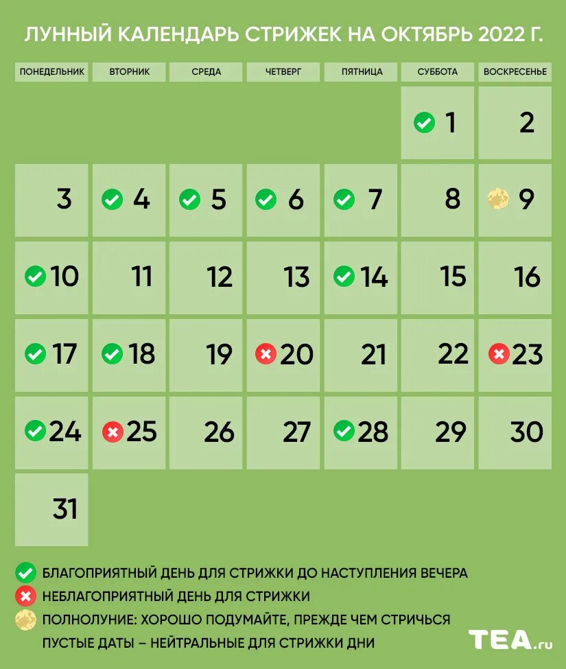 Подробный календарь стрижек Октябрь 2023 календарь стрижек благоприятные дни: найдено 85 картинок