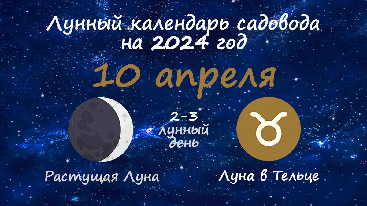 Подробный лунный календарь 2024 Лунный посевной календарь на апрель 2024 года