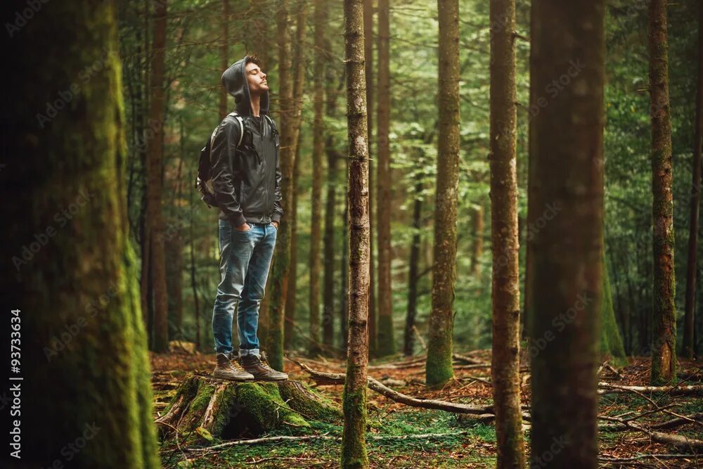 Подростки в лесу фото Hooded man posing in the forest Фотографія Stock Adobe Stock