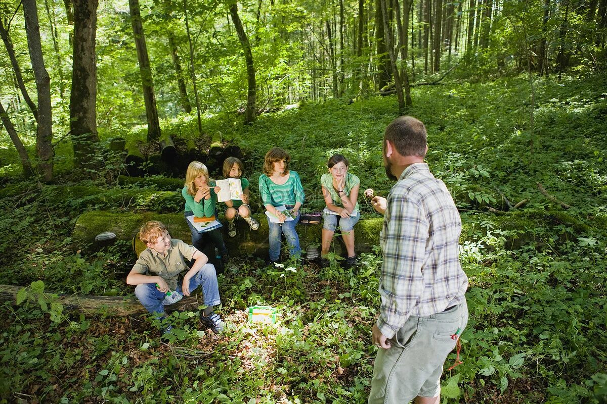 Подростки в лесу фото Forest School Images, HD Pictures For Free Vectors Download - Lovepik.com