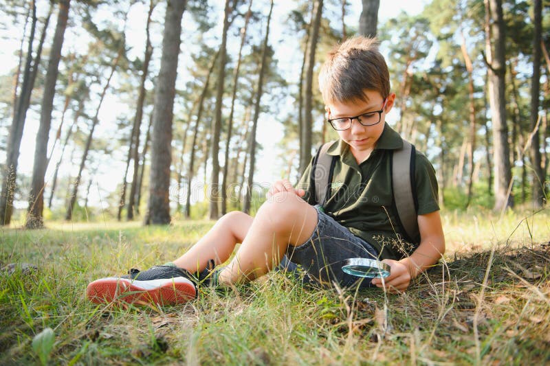 Подростки в лесу фото Boy Biologist or Entomologist Studies Nature. Scout in the Forest. a Teenager St