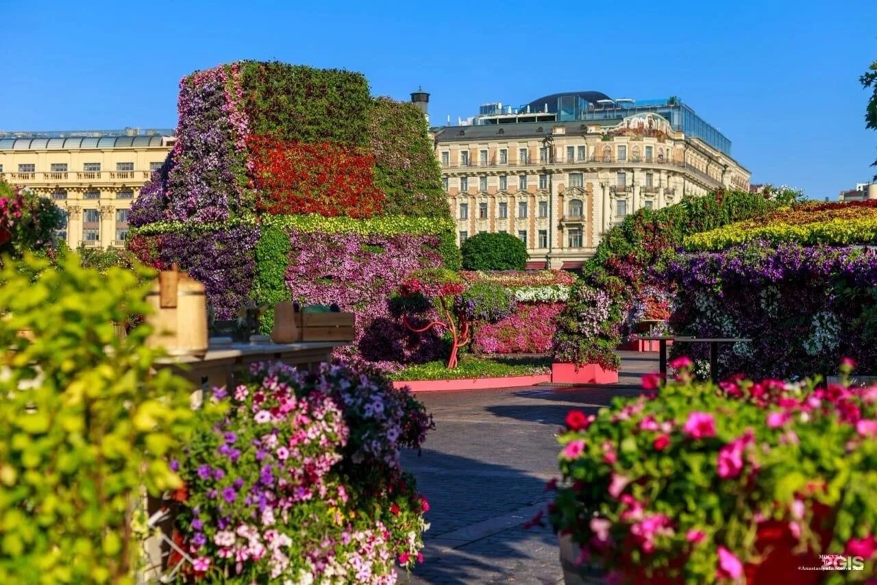 Подружка манежная площадь 1 стр 2 фото Москва, Манежная площадь - 2ГИС