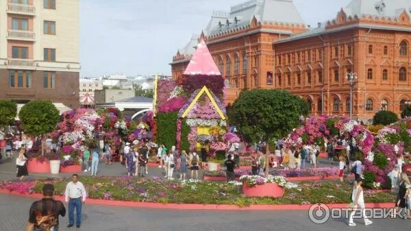 Подружка москва манежная площадь фото Отзыв о Фестиваль "Цветочный джем" (Россия, Москва) Буйство красок и разнообрази